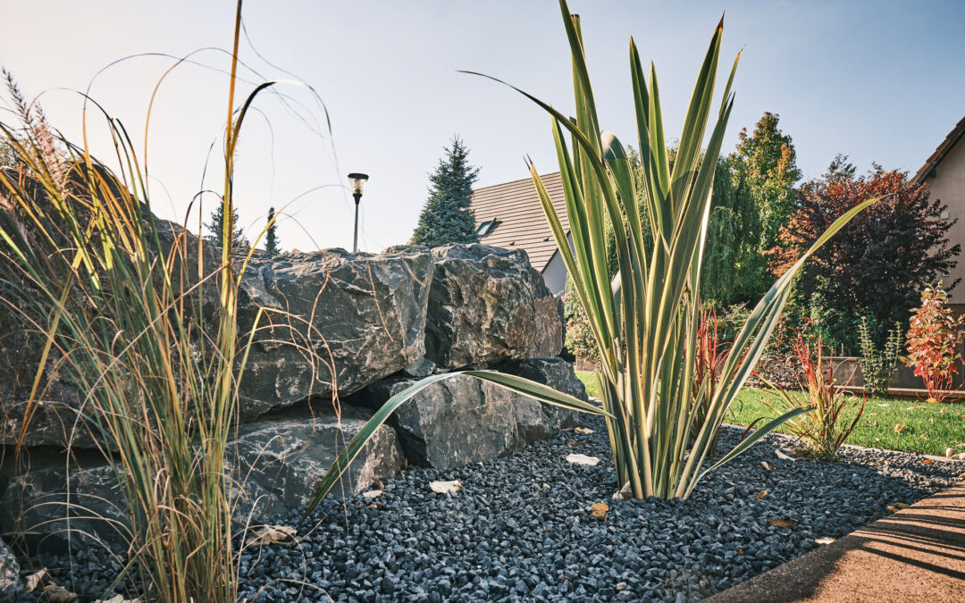 Paysagiste à Molsheim : aménagement extérieur et entretien de jardin